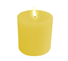 3" Pillar Candle - White Tea & Ginger
